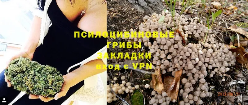 Галлюциногенные грибы Magic Shrooms  дарнет шоп  MEGA рабочий сайт  Волжск 